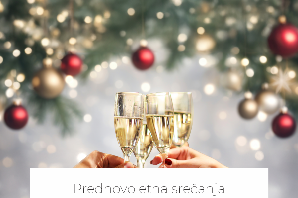 Prednovoletna srečanja